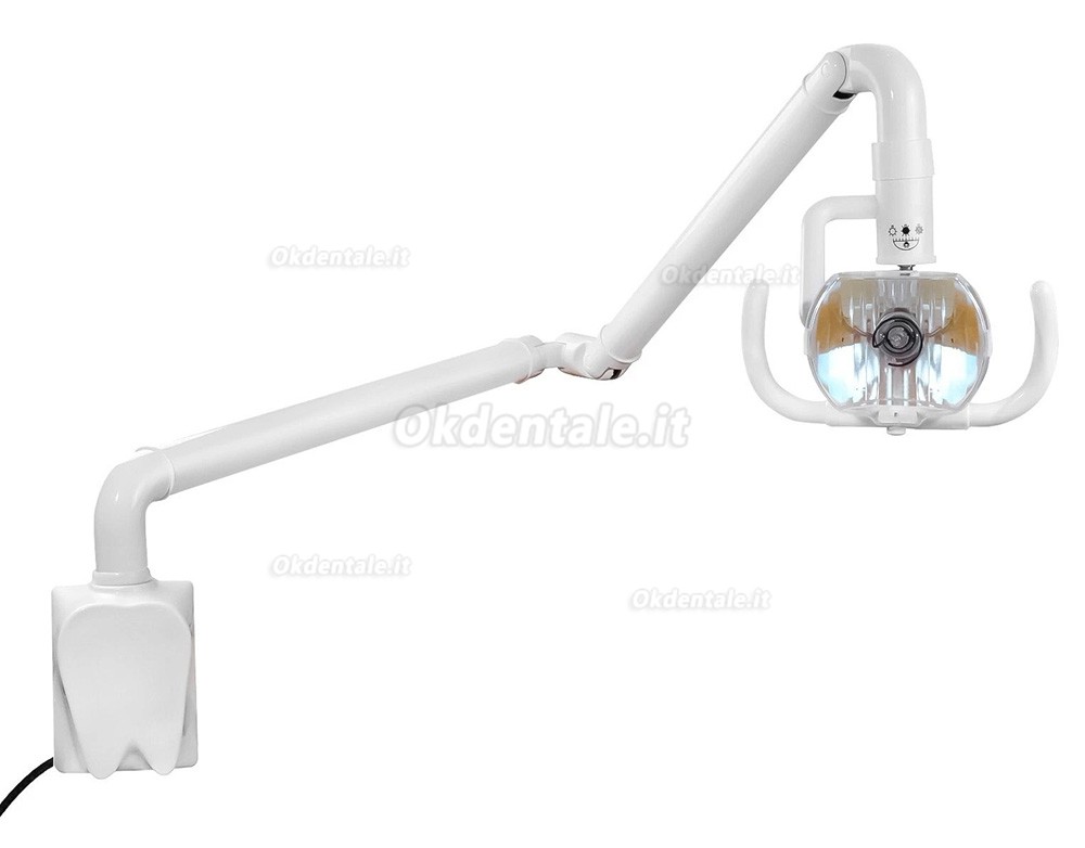 Lampada dentale orale da 50 W, lampade diagnostiche, a parete, a luce fredda